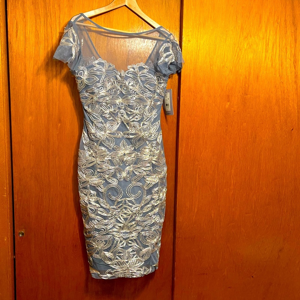 Shimmery JS Collections dress